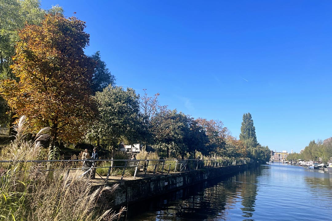 view around edge of artis zoo