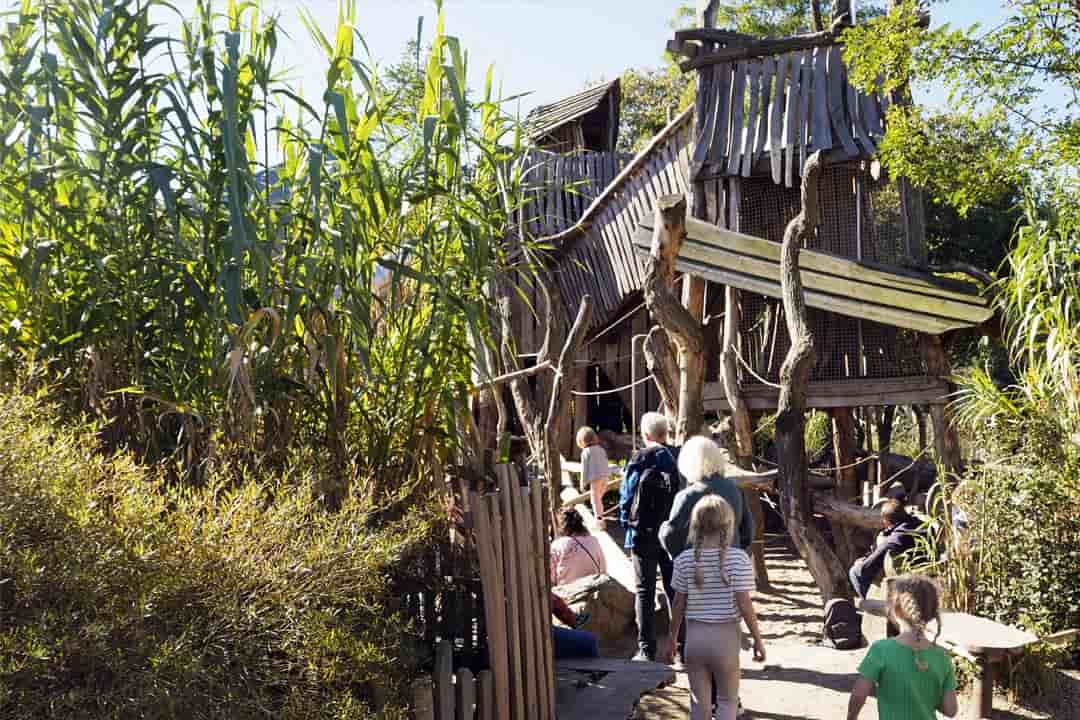 kids play area artis zoo