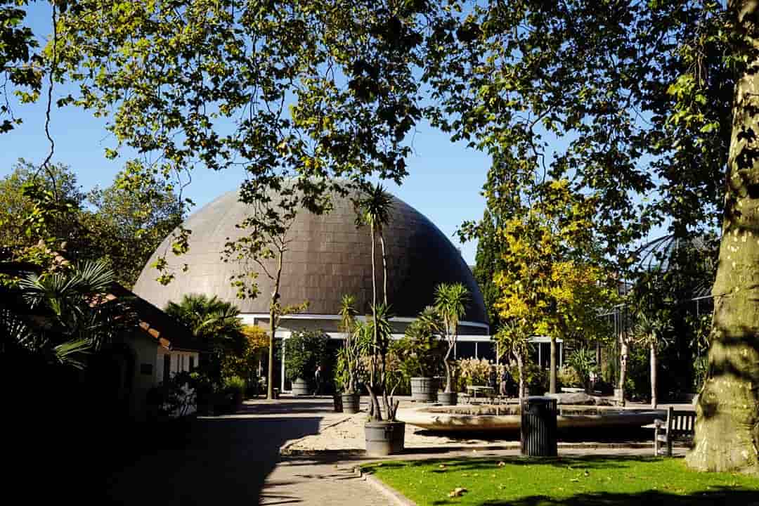 artis zoo planetarium