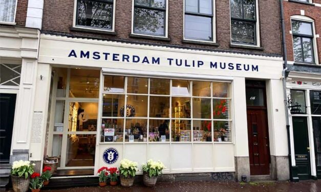 Tulip Museum in Amsterdam