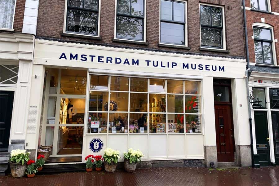 Tulip Museum in Amsterdam