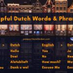 Dutch Basics